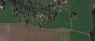 Tomt i Kinda kommun såld till 51-åring - priset: 125 000 kronor