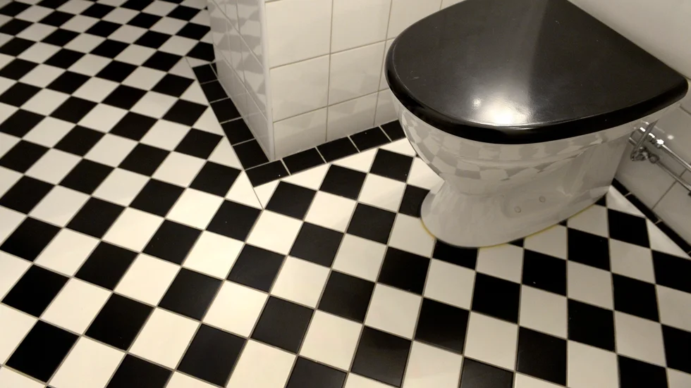 Installatören bad att få låna toaletten hemma hos kvinnan på Öster. När han gått saknades ett smycke. 
