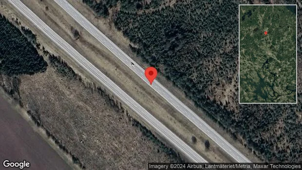 Älg på vägen kan skapa fara på E4