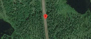 Träd över vägen skapar problem i trafiken på väg 668