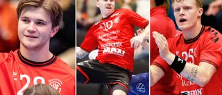 Spelarna avslöjar: Så är Guifs nye huvudtränare