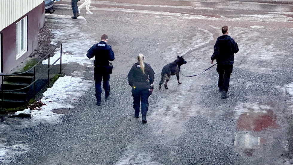 Poliser med hund på plats på Norr.
