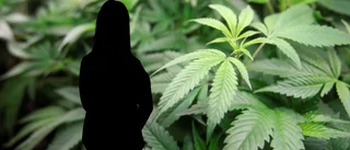 Kvinna i Luleå ville byta namn till Marijuana