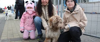 103 gick i Västerviks största hundpromenad