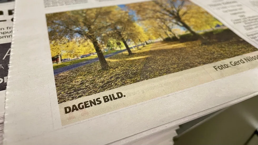 "Det var en blandad kompott av texter och bilder plus andra små roligheter", skriver insändarskribenten Ann-Britt Berglund som saknar dagens bild. Hon får svar direkt av PT:s chefredaktör.
