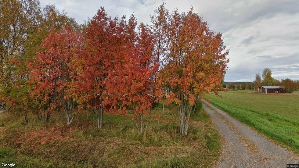 Svartskatavägen 381