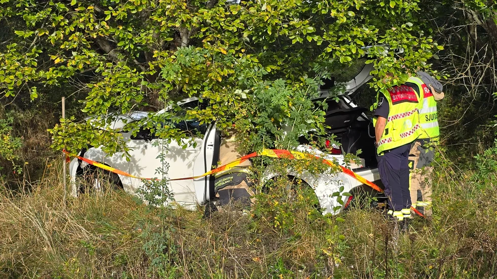 Bilen har som synes fart ut bland träden.