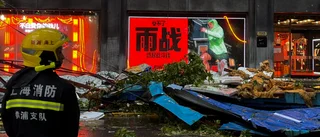 Vattenfyllda gator och uppslitna träd i Shanghai