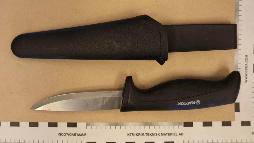 Kniven slängdes in i ett buskage när eleven sprang från platsen men polisens hund fick upp spåret och hittade den.