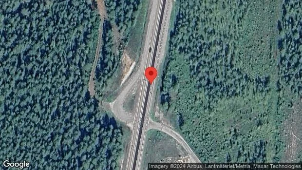 Trafikverket varnar för älgar på vägen på E4