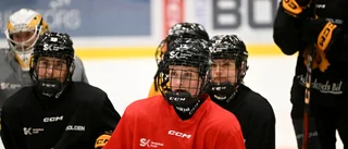 20-åriga AIK-backen slutar – efter blott en säsong i SDHL