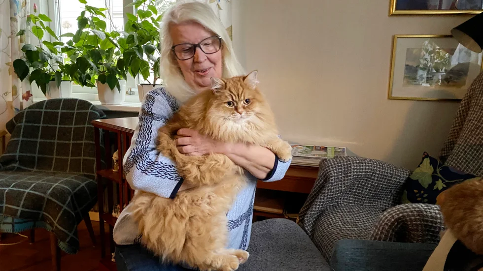 
Årets Lussekatt, Zingo med matte Christina Palm.