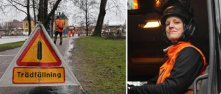 SE UPP: Varning för fallande grenar i centrala Linköping