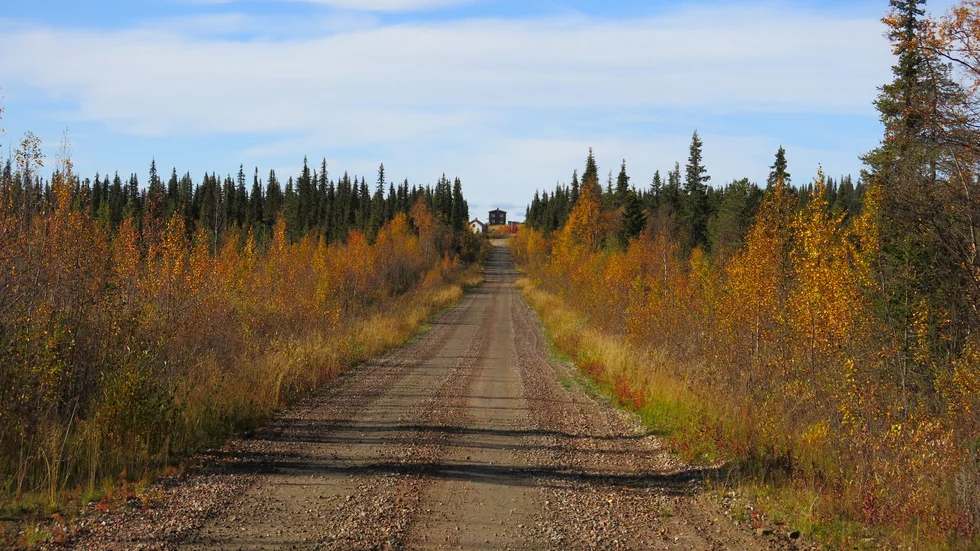 Vid vägs ände ligger den lilla byn Allavaara. Runt byn ska Kodiak minerals leta efter tungmetaller.