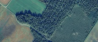 Ny ägare till gård i Kågedalen – pris: 15 300 000 kronor
