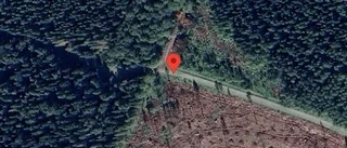 Nedfallna träd påverkar trafiken på väg 774