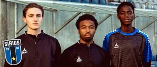 Trio tränar med Sirius – "Är en av Sveriges bästa"
