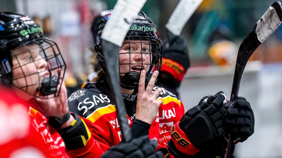 Luleå Hockey/MSSK möter Leksand hemma.