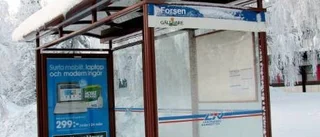 Inspektioner stoppar sabb