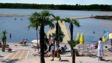 vajande palmer. Sommaren 2009 kan Kalixborna och tillresande turister vandra under vajande palmer på Strandängarna.