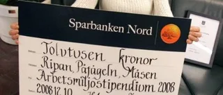 Stipendium för bra arbetsmiljö