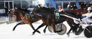 Högklassig travsport i Boden
