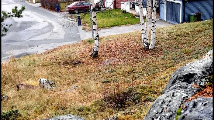 Porsöberget. Kan bli platsen för två HVB-hem.
