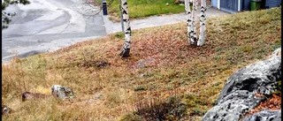 Oro för flyktingboende på villagata
