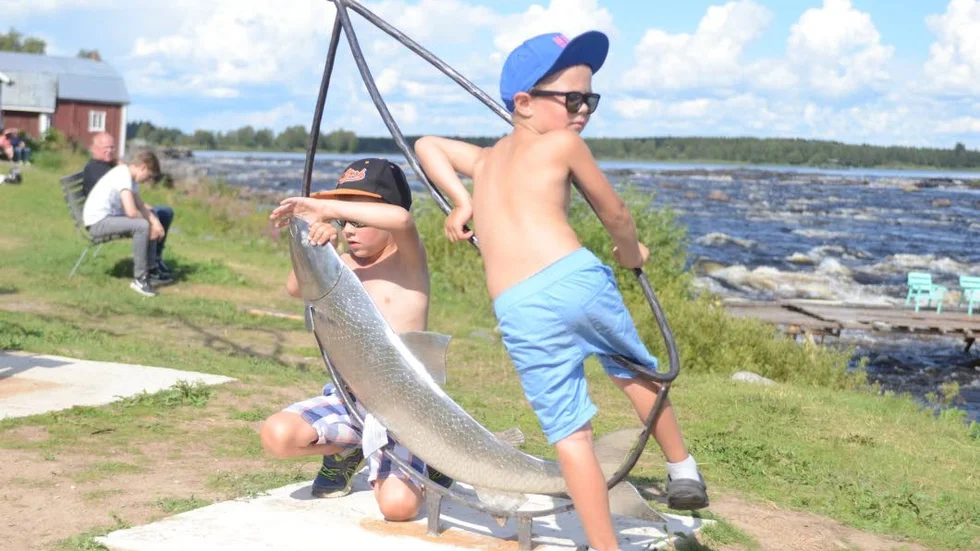 Elias och Anton Sörmlund Nätynki fångades i sikhåven.
