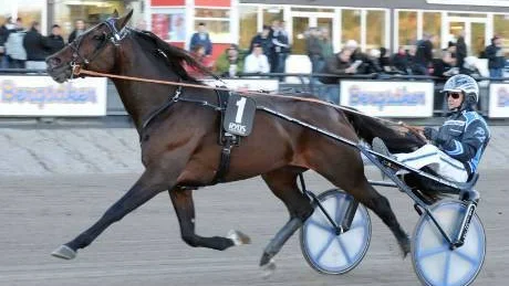ELITLOPPSTREA. Rakas och Per Lennartsson slutade trea  i elitloppet på Solvalla förra helgen. Nu visar Lennartsson intresse för Norrbottens Stora Pris. Foto: Kanal 75