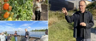 Premiär för soldriven serverhall i trä på Solkullen: "Det borde Amazon göra"