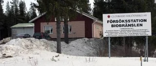 Gräs ska värma hyreshus i Glommers
