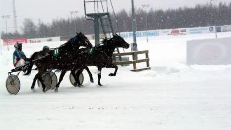 Här avgörs V4-4. Moneyspinner (nr 11) med Roger Nilsson i sulkyn hade precis kopplat greppet om invändige Tini Wini Pellini när han galopperade strax före mål.
