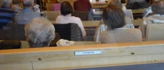 Luleås viktigaste valfråga