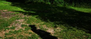 Försökte ta sitt liv – släpptes av vården
