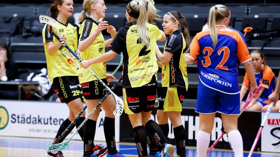 Sköna poäng. Efter att ha förlorat premiären hemma förra helgen tog Notviken poäng i två raka matcher.