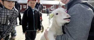Djurens dag lockade storpublik