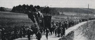 Före skotten i Ådalen