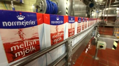 Norrmejerier Mjölk fil Grädde mjölkprodukter jordbruk kor industri
