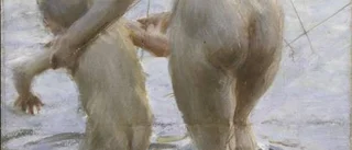 Nationalkonstnären Zorn i nytt ljus