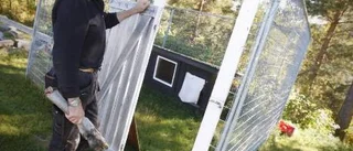 Kvalfylld död för förgiftade hundar