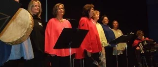 Uppskattad temakonsert på museum