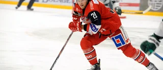 VIK är hockeyallsvenskans humla