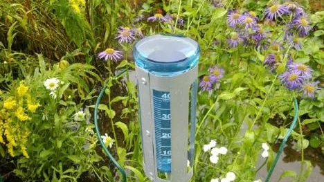 Här råder det nog vattningsförbud, 100 mm på tre dygn på Svartudden, Piteå