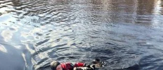 Hund räddades ur iskallt vatten