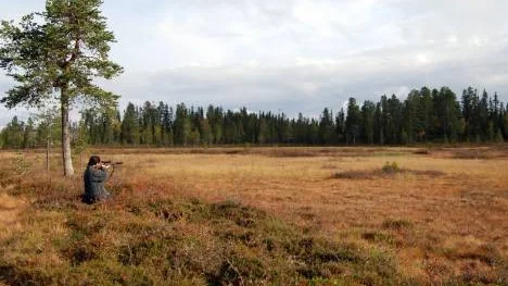 Elisabeth Lestander tittar i kikarsiktet i riktning mot där hon hör ståndskallet. Älgen måste vara väldigt nära.