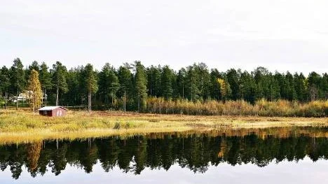 Piteälven från sin allra vackraste sida, i september.