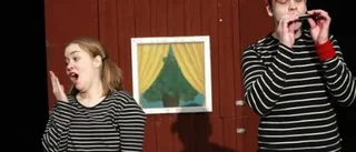 Barnteater om syskonrelationer