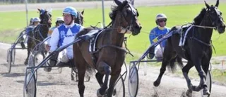 Nils nära championatet