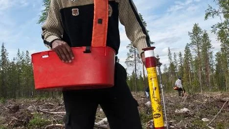 Efter en överenskommelse mellan fack och arbetsgivare får de kamerunska skogsplanterarna sin riktiga ersättning. Personen på bilden har inget med artikeln att göra. (Arkivbild)